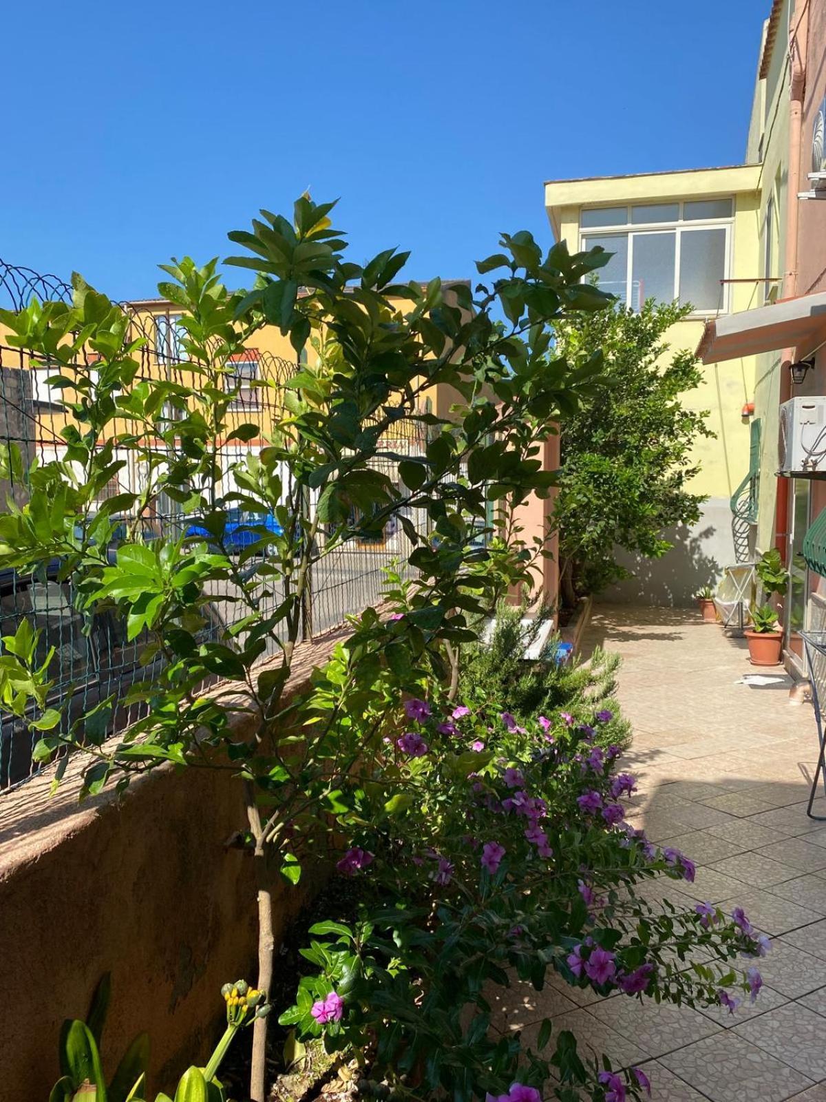 Lemon House Lejlighed Sassari Eksteriør billede
